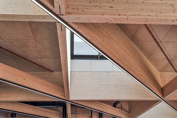 Close up ceiling design architecture