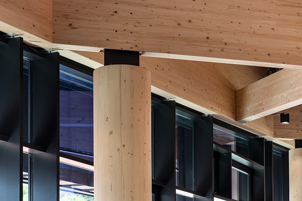 Close up ceiling design architecture